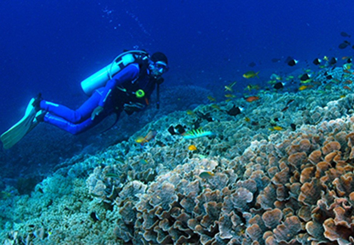 客人庞先生 巴厘岛深潜体验.jpg